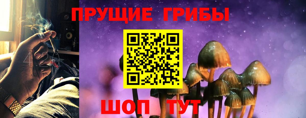 Галлюциногенные грибы GOLDEN TEACHER Тимашёвск